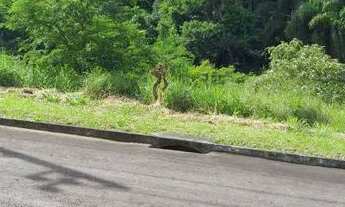 Imagem 2: Parque do Império - Terreno - venda