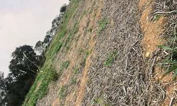 Imagem 3: Terrenos demarcados com negociação facilitada!!