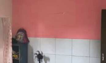 Imagem 2: Casa na pirâmide