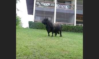 Imagem 6: Diárias no flat do hotel fazenda monte castelo