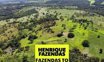 Imagem 2: Fazenda dupla aptidão região entre Paraíso e Divinópolis