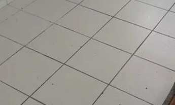 Imagem 5: Apartamento Apartamento com 2 dormitórios