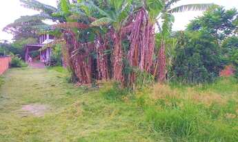 Imagem 5: VENDO MINI CHACARA EM VILA VELHA