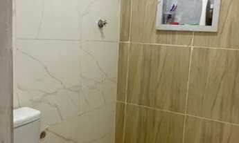 Imagem 7: Colônia terra nova