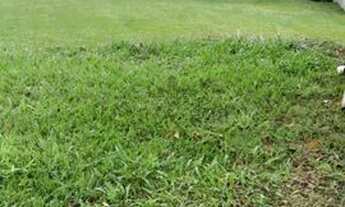 Imagem 3: Jacarei - Loteamento/Condomínio - Condominio Residencial Mirante do Vale