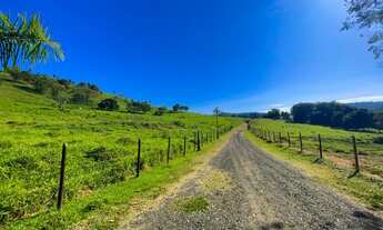 Imagem 2: Vendo Belíssima Fazenda em Itapira - SP