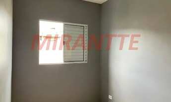 Imagem 5: Apartamento de 40m² com 2 quartos em Vila Gustavo