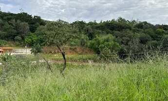 Imagem 2: Vendo lote em igarapé