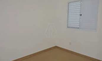 Imagem 6: Araçatuba - Apartamento - Santa Luzia