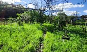 Imagem 4: Chácara + Casa na Boca do Monte