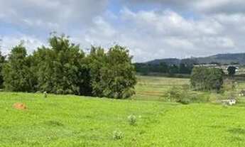 Imagem 3: Terreno em campo verde