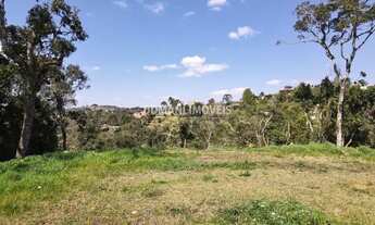 Imagem: Terreno Plano Espetacular à Venda na Região