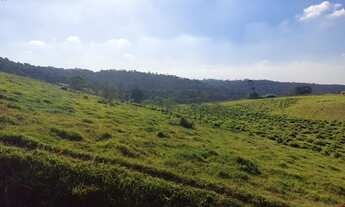 Imagem: Lote/Terreno para venda com 500 metros quadrados