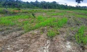 Imagem 7: Oportunidade Vendo ou troco sítio