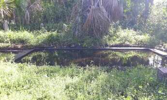 Imagem: Sitio Brejinho com riacho perene