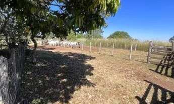 Imagem 6: Sítio 64 hectares na região de Rosário Oeste MT