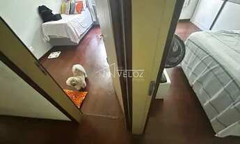 Imagem: Apartamento / Residencial / Catete