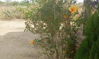 Imagem 5: Casa no interior