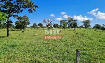 Imagem 3: Fazenda 414 alqueires (2.007 hectares) Caiapônia - Go