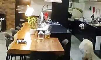 Imagem 6: Casa para venda possui com 4 quartos em Estância Alpina - Nova Lima - mg