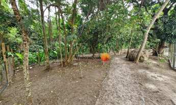 Imagem 7: Apartamento com 2 dormitórios para alugar, 55 m² por R$ 2.836,63/mês - Piratininga - Niter