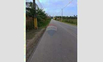 Imagem 3: TERRENO EM SÃO MIGUEL DOS MILAGRES