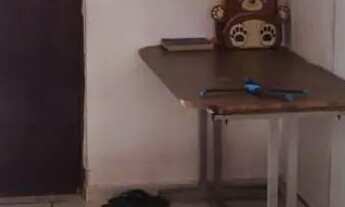 Imagem 5: Casa quitada Casa com 2 dormitórios