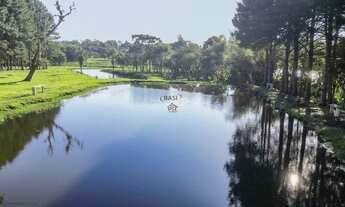 Imagem 3: BELÍSSIMA CHÁCARA EM TIJUCAS DO SUL - ACEITA IMÓVEL DE ATÉ 50% DO VALOR, COMO PARTE DE PAG