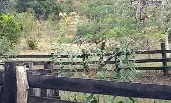 Imagem 7: Sítio à venda, ZONA RURAL - Ponte Nova/MG