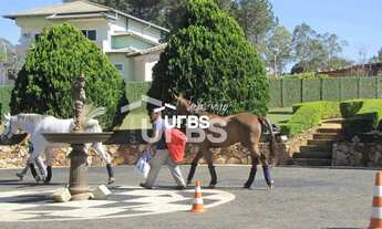 Imagem 12: Mansão no Park Way - Brasília - DF