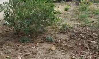 Imagem 5: Vendo este Lote Terreno / lote com venda por R$75.000