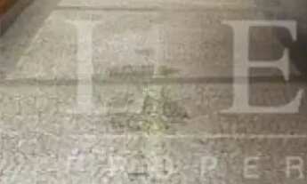 Imagem 5: Rua Bela Cintra, próximo a Paulista