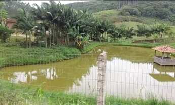 Imagem 4: Vendo sítio em Tijuca