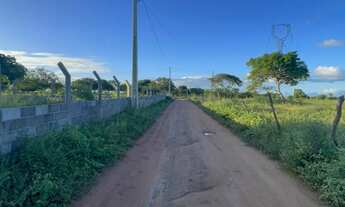 Imagem 4: Terreno plano, pronto para sítio ou chácara, há 900 metros da BR