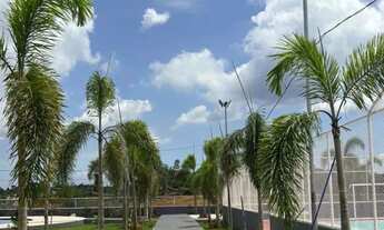 Imagem 6: Lotes na chacara Parque Real