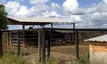 Imagem 7: Fazenda cultura 614 hectares completa negocio aceito trocas