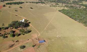 Imagem: Fazenda de 65 alqueires em Pirenópolis-GO