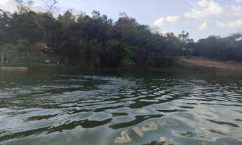 Imagem 7: Vendo Chácara no campo dourado