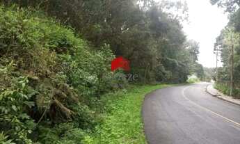 Imagem 2: Terreno com 66.000m² , à venda, no bairro Ferraria em Campo Largo