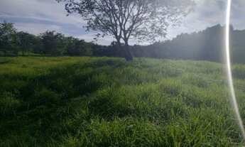 Imagem 3: Fazenda Goias velho 13,1 alqueires