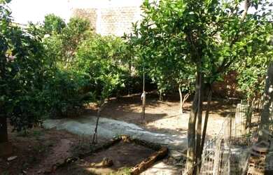 Imagem 6: Casa - Santa Maria RS