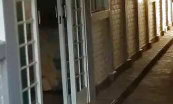 Imagem: Casa em Rua Ettore Masini - Santa Rosa