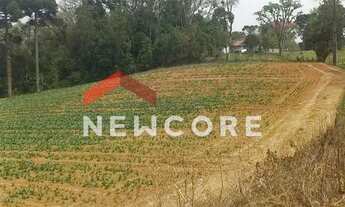 Imagem 3: Chácara em Área Rural - Área Rural de São José dos Pinhais - São José dos Pinhais/PR