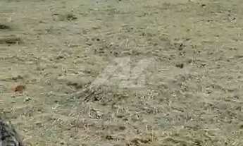 Imagem 3: Terreno - Parque Alto Taquaral - Campinas