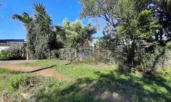 Imagem 7: Mini Sítio à Venda em Alvorada/RS