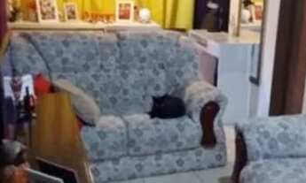 Imagem 2: Vendo casa no Saco grande