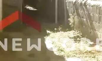 Imagem: Lote em Avenida Inácio Marquês Siqueira