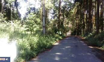 Imagem 6: Terreno à venda, 4000 m² - Jardim Arujá - Arujá/SP