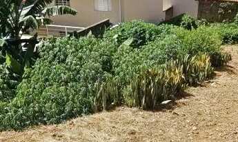 Imagem 2: TERRENO - JARDIM PINHEIROS - SP