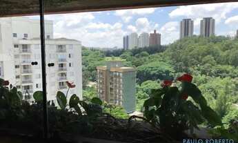Imagem 7: APARTAMENTO - MORUMBI - SP